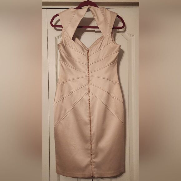 Jessica Simpson Champagne Sheath Dress — Rose Gold Zipper, Elegant Fit, Size 6 - Picture 5 of 6